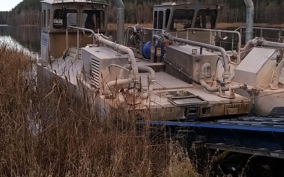 Vikab övar inför säsong 2026 Se filmen här